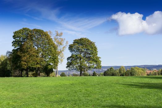 Grassy meadow with trees, sky and clouds