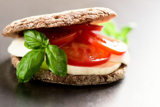 Sandwich with mozzarella, tomatoes and rye bread