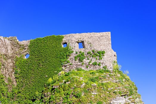 Old fortress stone wall covered with vegetation and roots, Sicily