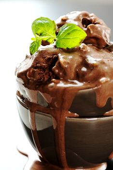 Chocolate ice cream with mint leaves in bowl