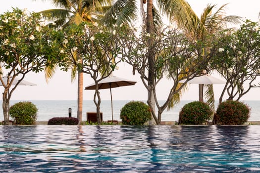 Coconut tree and chair around outdoor swimming pool in hotel resort neary sea and beach - Boost up color Processing style.