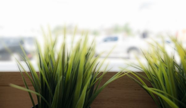 cafe decoration style : grass in wooden flowerpot in restaurant ,selective focus.