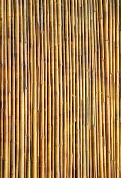 dry bamboo wall texture background