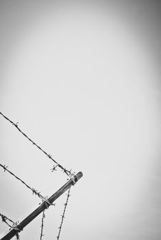 Stylized Image Of A Barbed Wire Security Fence With Copy Space
