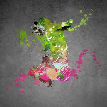 Image with color silhouette of dancer on gray wall