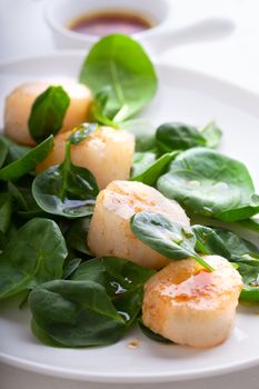 Scallop Salad with greenery on a white plate