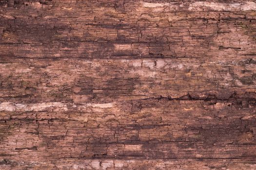 old wood background. Abstract background, empty template.