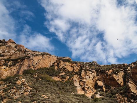 Beautiful scene of flying seagulls over the Morro Rock Bay, California USA