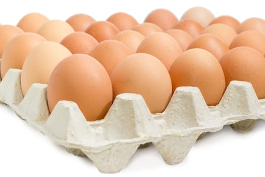 Brown chicken eggs in the cardboard egg tray closeup on a light background
