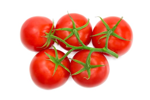 Branch with the several ripe red tomatoes closeup on a light background
