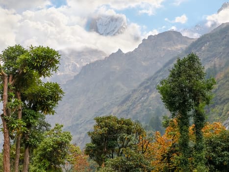 Mountain peak covered with glaciers and partly shrouded in clouds overtop above a mountain slope with trees in the foreground in the Himalayas
