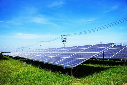 Solar panels on green grass at blue sky.