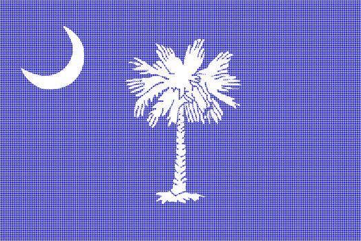 The flag of the state of South Carolina in halftone
