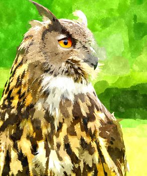 Watercolor digitally generated painting of the Eagle Owl (Bubo Bubo).