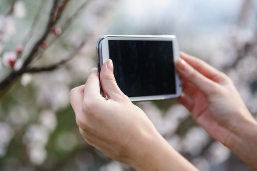 woman holds a smart phone in her hands and shoots spring garden.