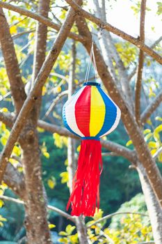 colorful paper lantern hanging on the tree