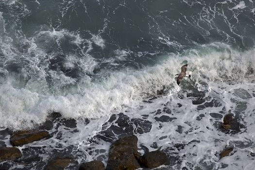 Crimea. Black Sea. Spray from a breaking wave.