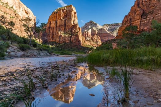 The Virgin River winds through the floor of Refrigerator Canyon at Zion National Park in Utah