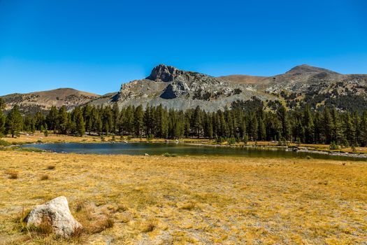 Mount Dana is a mountain in the U.S. state of California. Its summit marks the eastern boundary of Yosemite National Park and the western boundary of the Ansel Adams Wilderness. At an elevation of 13,061 feet (3,981 m), it is the second highest mountain in Yosemite (after Mount Lyell), and the northernmost summit in the Sierra Nevada which is over 13000 feet in elevation. Mount Dana is the highest peak in Yosemite that is a simple hike to the summit.