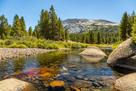 Mammoth Peak is at the northern end of the Kuna Crest in Yosemite National Park, very close to CA State route 120. Its summit appears rounded and rocky from the road. Not nearly as popular as the higher peaks in the area, it still provides great summit views and easy access.