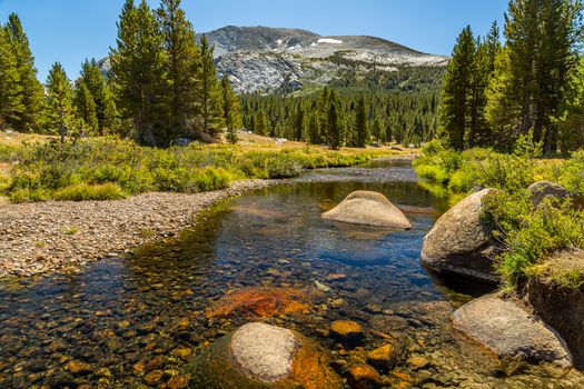 Mammoth Peak is at the northern end of the Kuna Crest in Yosemite National Park, very close to CA State route 120. Its summit appears rounded and rocky from the road. Not nearly as popular as the higher peaks in the area, it still provides great summit views and easy access.