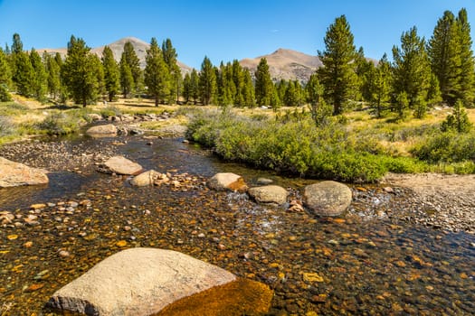 Mount Gibbs is located in the Sierra Nevada of the U.S. state of California, 2.6 miles (4 km) south of Mount Dana. The summit marks the boundary between Yosemite National Park and the Ansel Adams Wilderness.