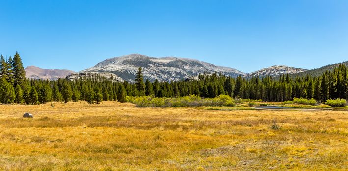 Mammoth Peak is at the northern end of the Kuna Crest in Yosemite National Park, very close to CA State route 120. Its summit appears rounded and rocky from the road. Not nearly as popular as the higher peaks in the area, it still provides great summit views and easy access.