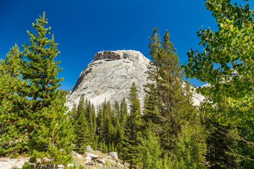 Polly Dome is a prominent granite dome rising 1,640 feet (500 m) above the northwest side of Tenaya Lake and Tioga Road in the Yosemite high country. The dome, more than 3 kilometers (~2 miles) long, is a substantially intact mass of granitic rock that has withstood heavy glaciation and exfoliation.