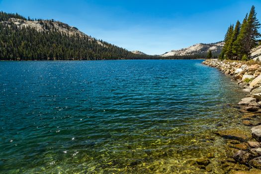 Tenaya Lake is an alpine lake in Yosemite National Park, located between Yosemite Valley and Tuolumne Meadows. The surface of Tenaya Lake has an elevation of 8,150 feet. The lake basin was formed by glacial action, which left a backdrop of light granite rocks. Today, Tenaya Lake is easily accessible by State Route 120 and is a popular lake for water activities.