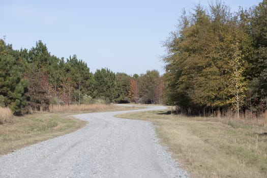 A winding dirt road in a beautiful autumn landscape