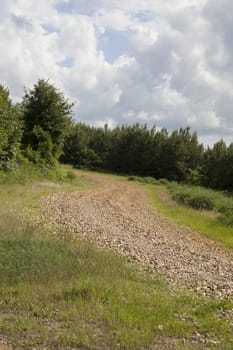 A winding dirt road in a beautiful spring landscape