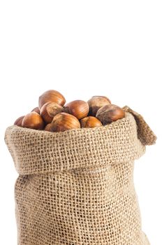 some hazelnuts placed over a white background