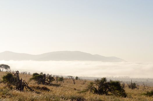 Rise of mist on the savanna and mountains of Tsavo West Park in Kenya
