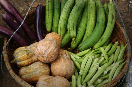 Basket of vegetables as melon, eggplant, okra, squash from Vietnamese vendor, popular Vietnam agriculture product