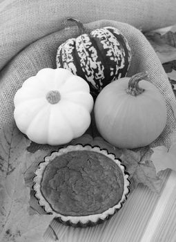 Small pumpkin pie with autumn leaves and gourds amongst burlap fabric