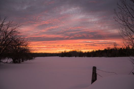 Bright winter sunset over snowy farm pasture with fencepost with fresh snow on the ground.