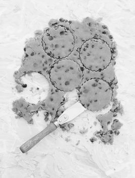 Circles cut in raw chocolate chip cookie dough, palette knife lifting shapes from worktop