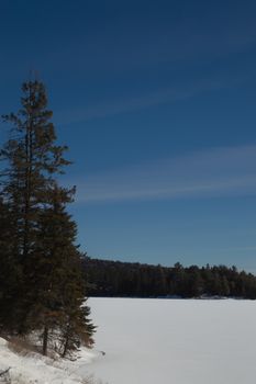 Snowy frozen lake with white pines background in Algonquin park, Ontario.  Snowy hill behind. Bright blue sky and smooth cirrus clouds. Copy space at the bottom in the fresh bright snow.