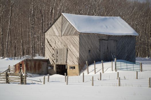 Snowy old  barn on a sunny day. Barnboards run diagonally and are grey, old and weathered. Shows some fence and  boards and barnyard and snow.