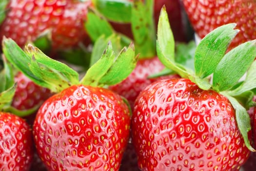 Ripe Red Strawberries With Green Stems