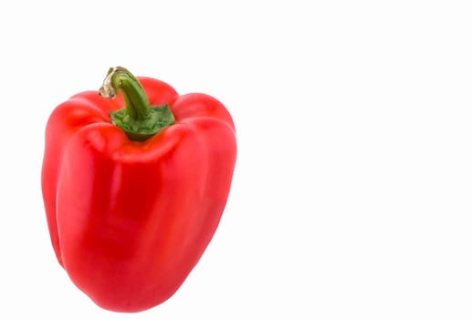 Close-up of Red Pepper With White Background