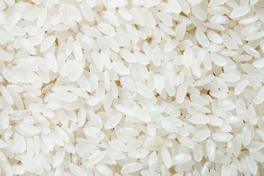 close-up shot of the rice background image