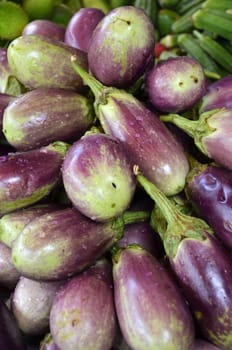 Raw ripe Eggplant display at Vegetable Stall of Local Market at Little India, Singapore