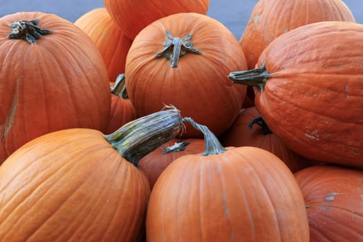 Many pumpkins. Fair of a pumpkin in California