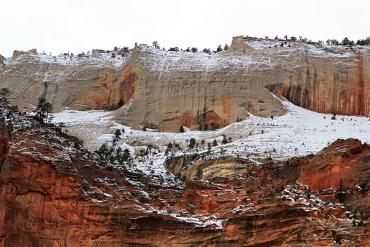 View of Canyon, Zion National Park Cliffs