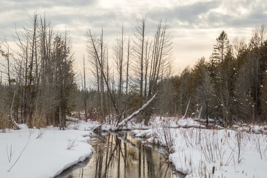 Wintry landscape of river, trees, snow and reflections