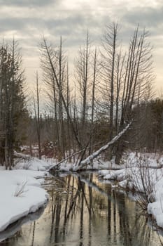 Wintry landscape of river, trees, snow and reflections