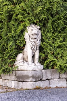 Concrete Lion in Bush.