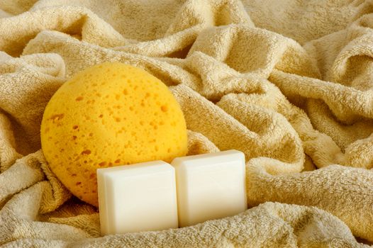  sponge and soap on a  white background