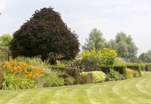 big english landscape garden with plants trees and flowers in summer